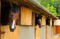 free Hurst Park stable construction quotes
